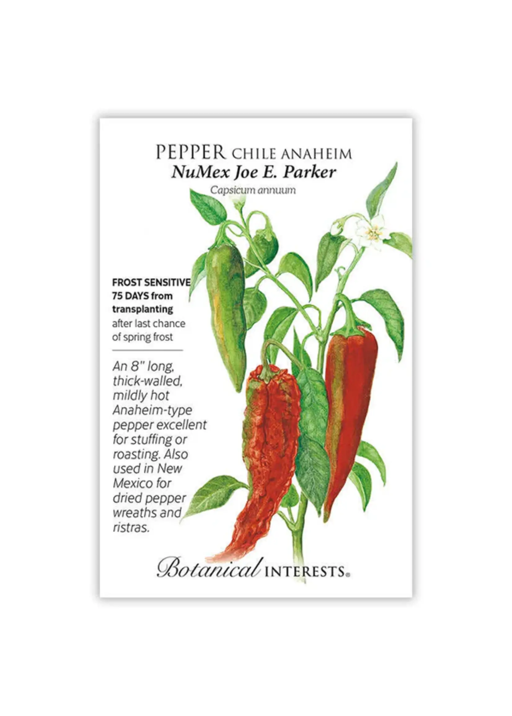 Botanical Interests Pepper Chile Anaheim NMJoeParker