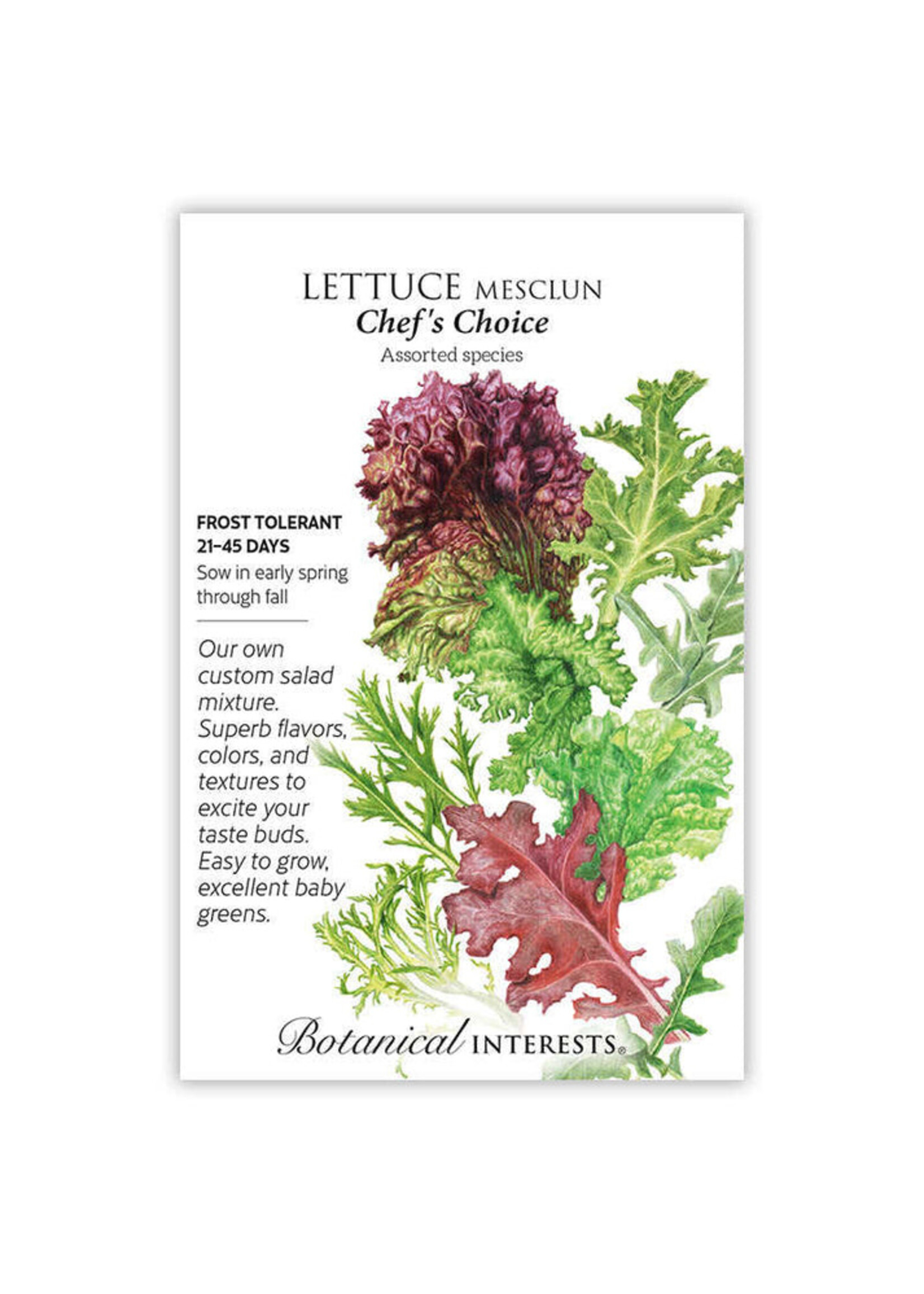 Botanical Interests Lettuce Mesclun Chef's Medley Organic