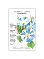 Botanical Interests Morning Glory Flying Saucer