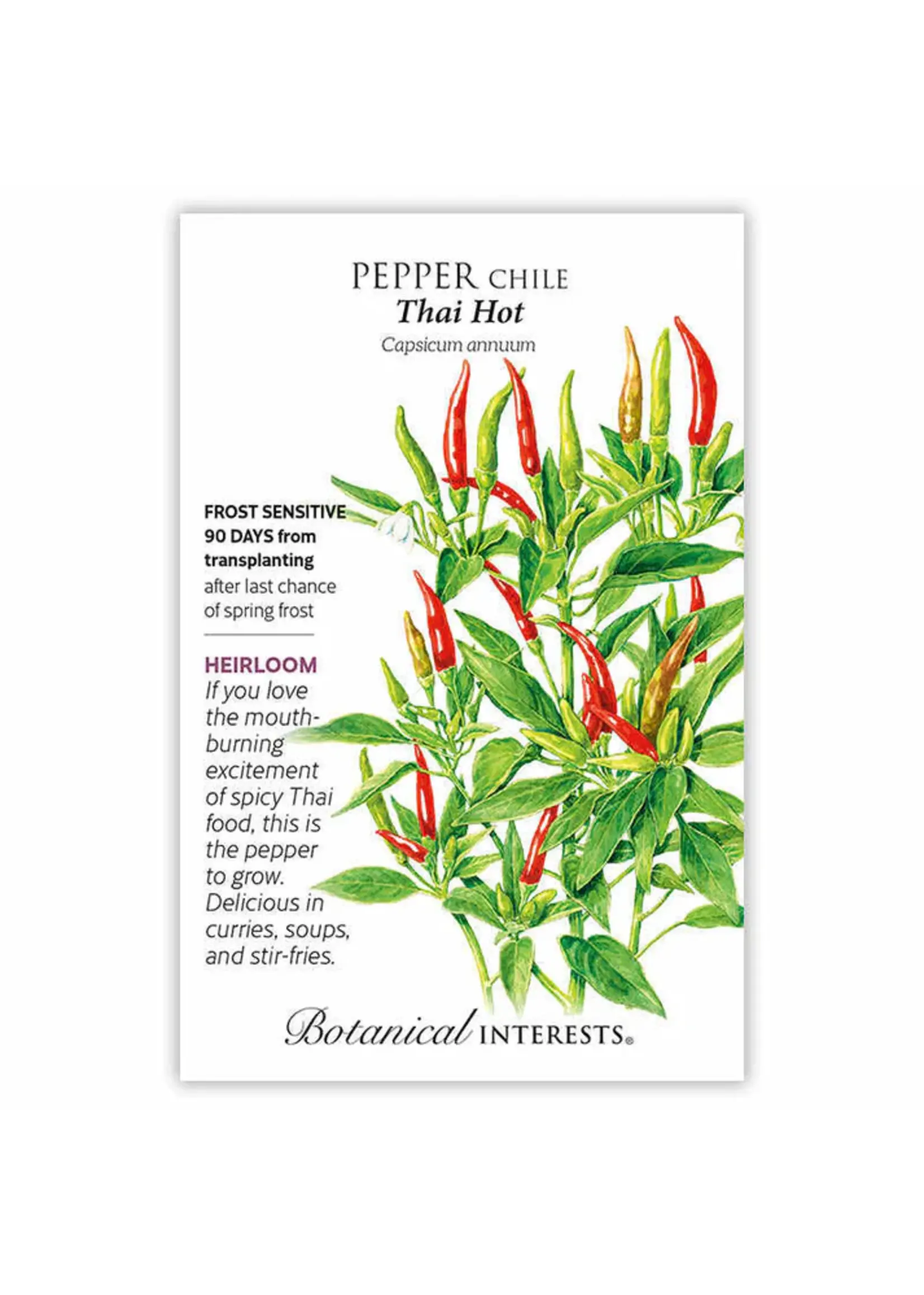 Botanical Interests Pepper Chile Thai Hot