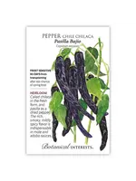 Botanical Interests Pepper Chile Chilaca Pasilla Bajio
