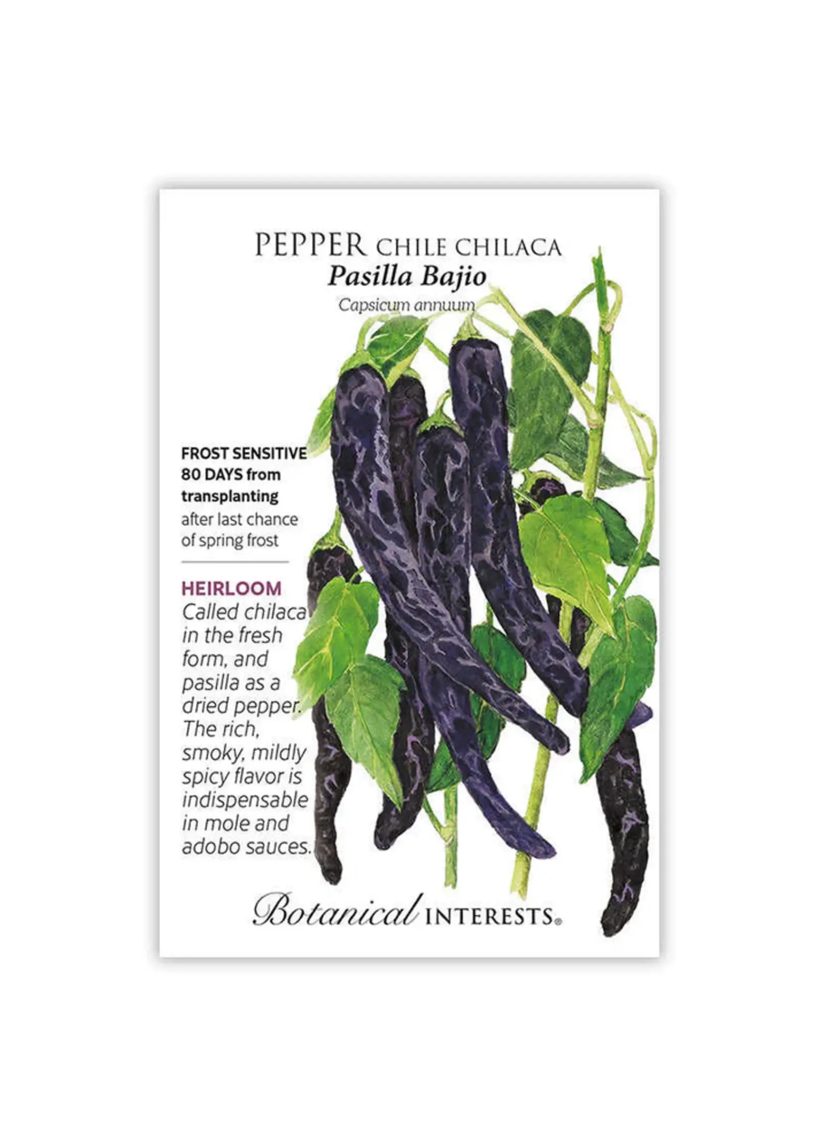 Botanical Interests Pepper Chile Chilaca Pasilla Bajio