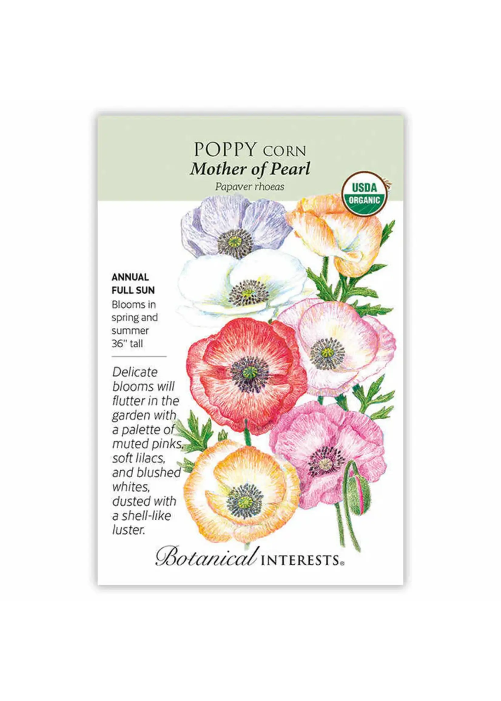 Botanical Interests Poppy Corn Mother of Pearl  Organic