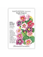 Botanical Interests Nasturtium Purple Emperor