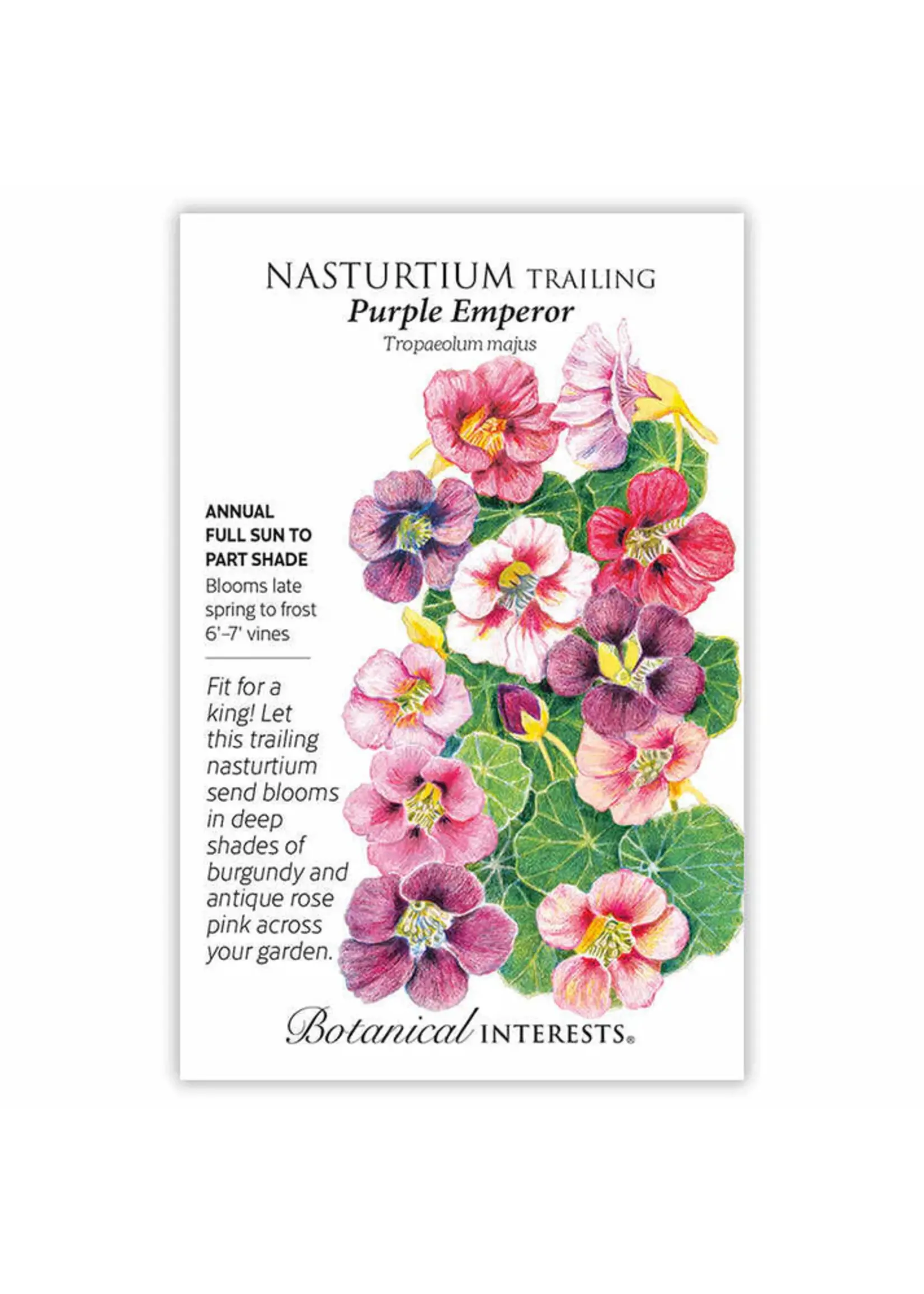 Botanical Interests Nasturtium Purple Emperor