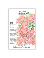 Botanical Interests Cosmos Apricotta