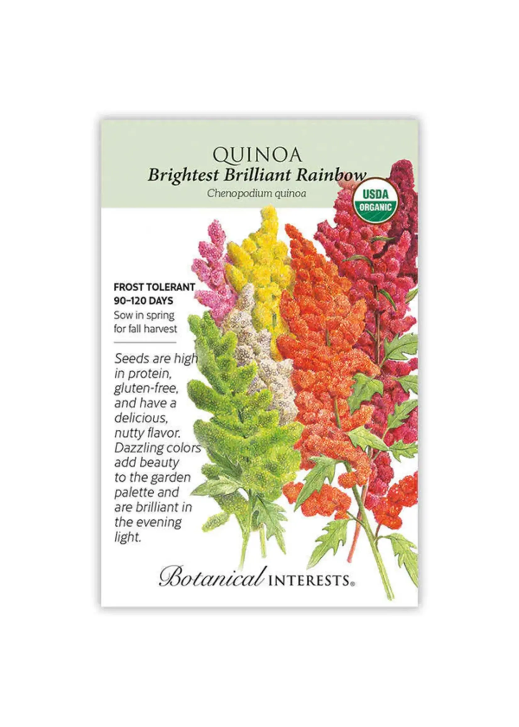 Botanical Interests Quinoa Brightest Rainbow Organic