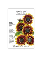 Botanical Interests Sunflower Shock-O-Lat