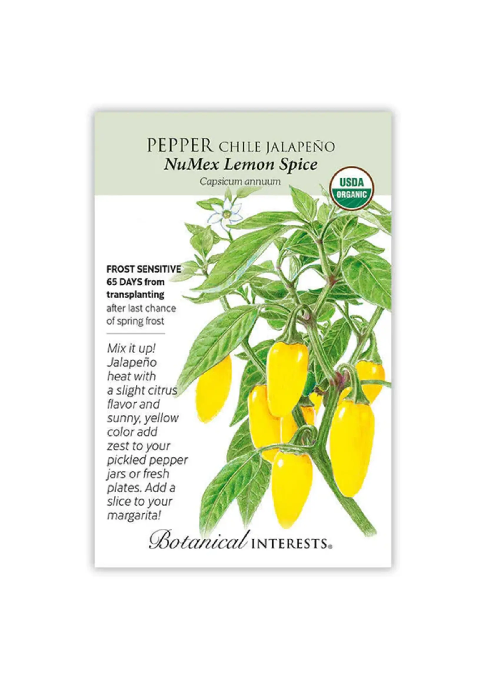 Botanical Interests Pepper Chile Jalapeno Lemon Organic