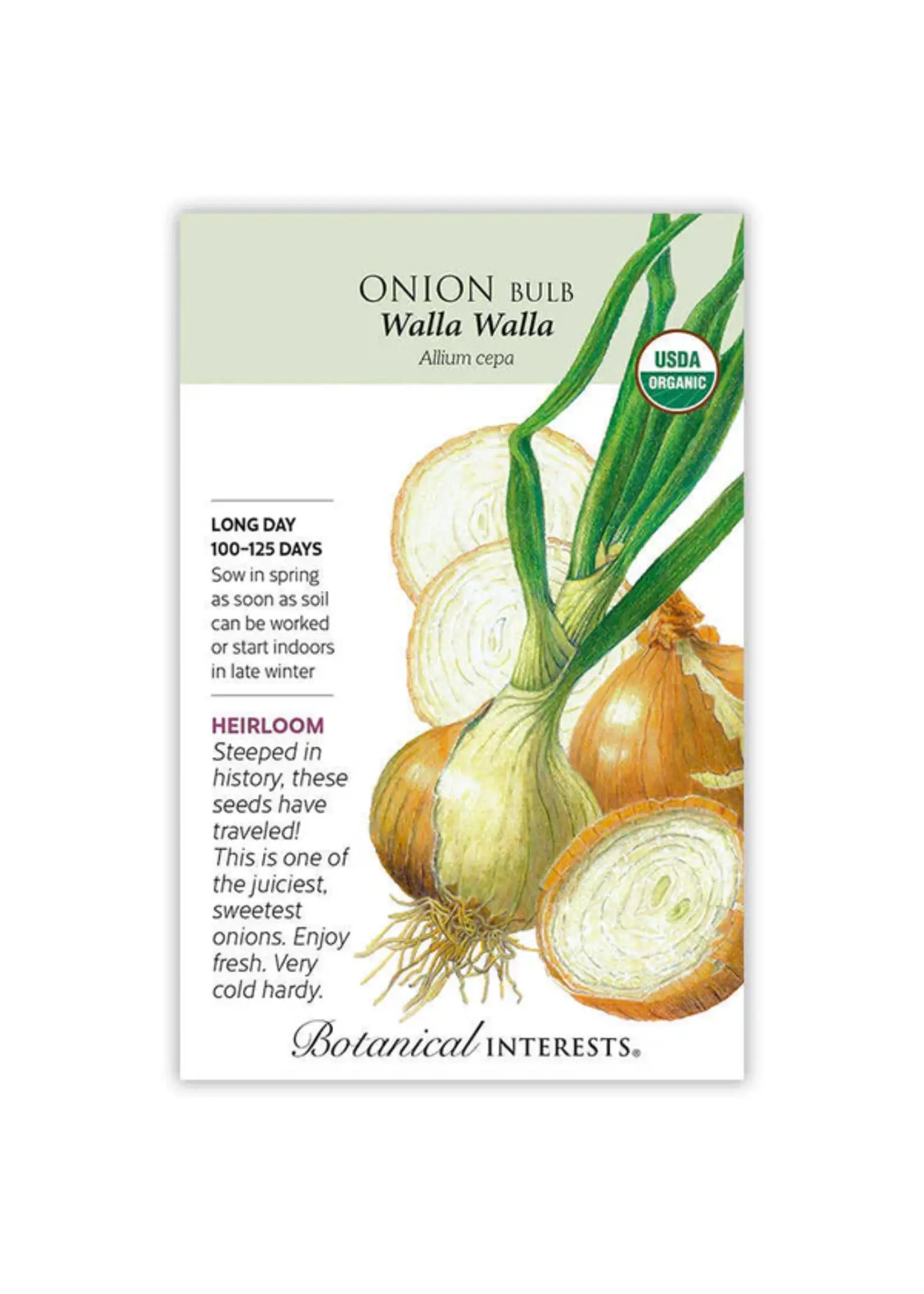 Botanical Interests Onion Bulb (ylw) WallaWalla (LD) Organic
