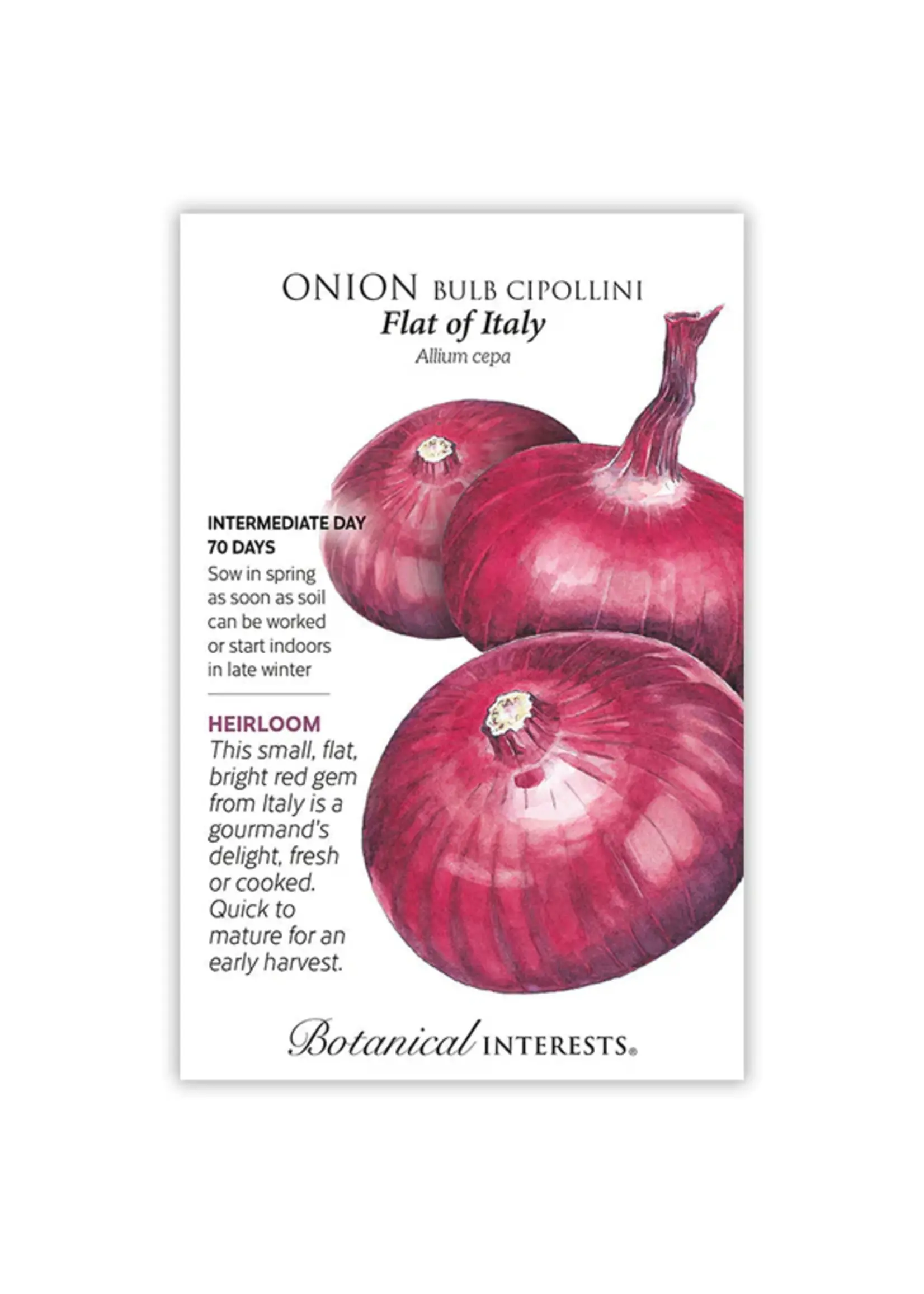 Botanical Interests Onion Bulb (red) Flat of Italy (ID)
