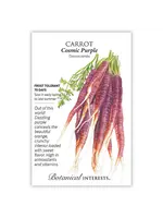 Botanical Interests Carrot Cosmic Purple