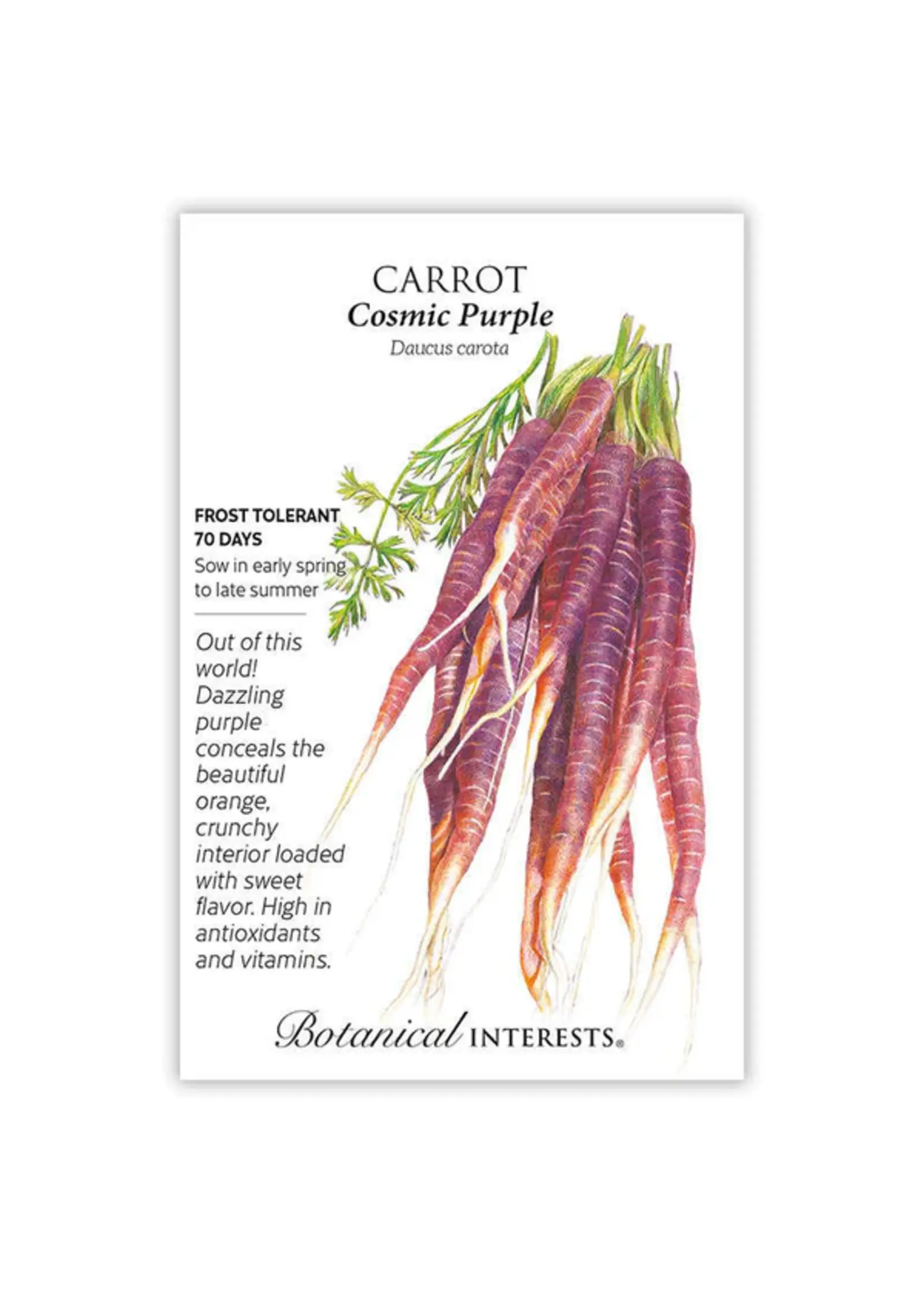 Botanical Interests Carrot Cosmic Purple