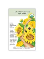 Botanical Interests Sunflower Dwf Elves Blend Organic