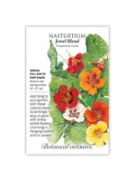 Botanical Interests Nasturtium Jewel Blend