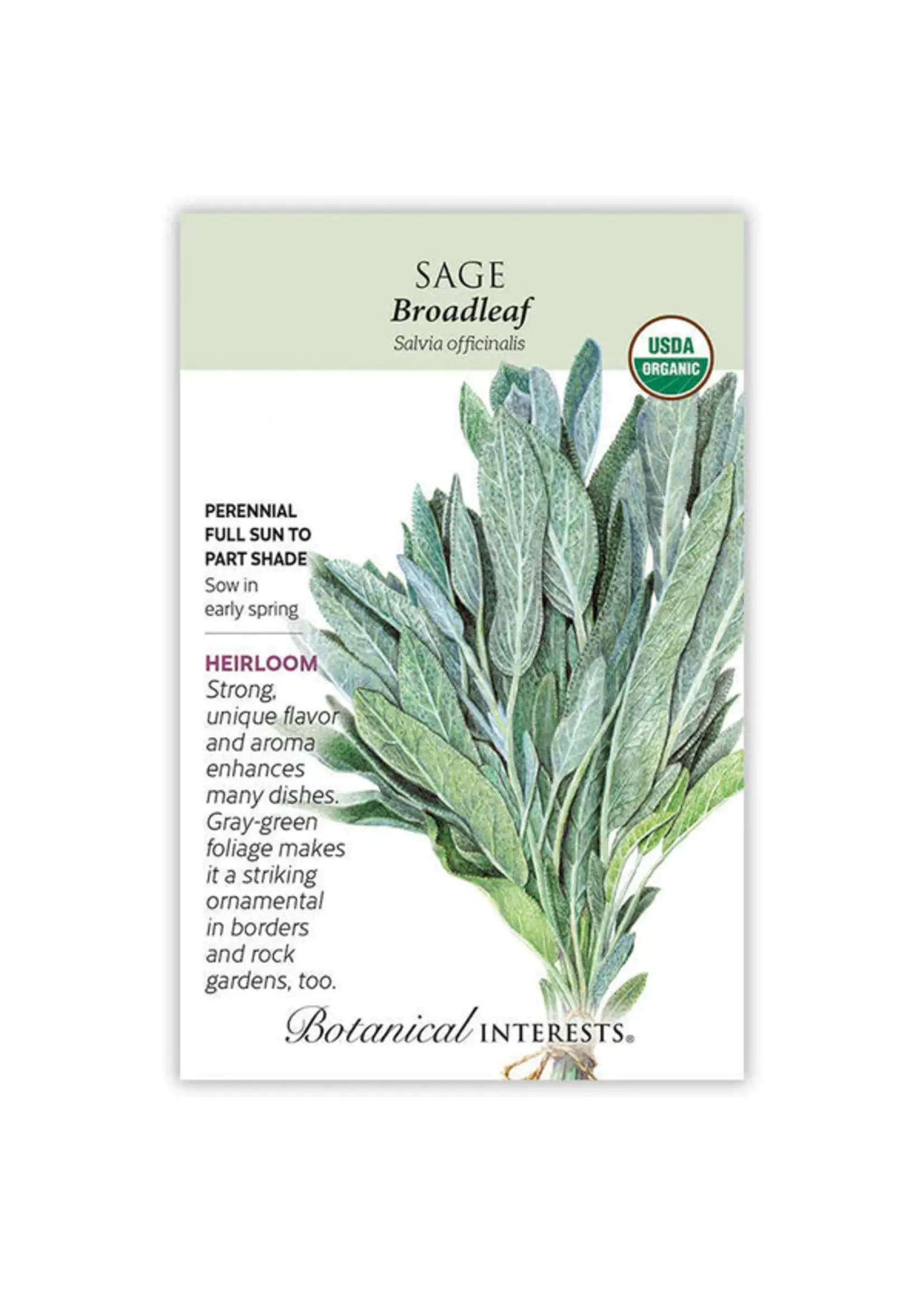 Botanical Interests Sage Broadleaf Organic