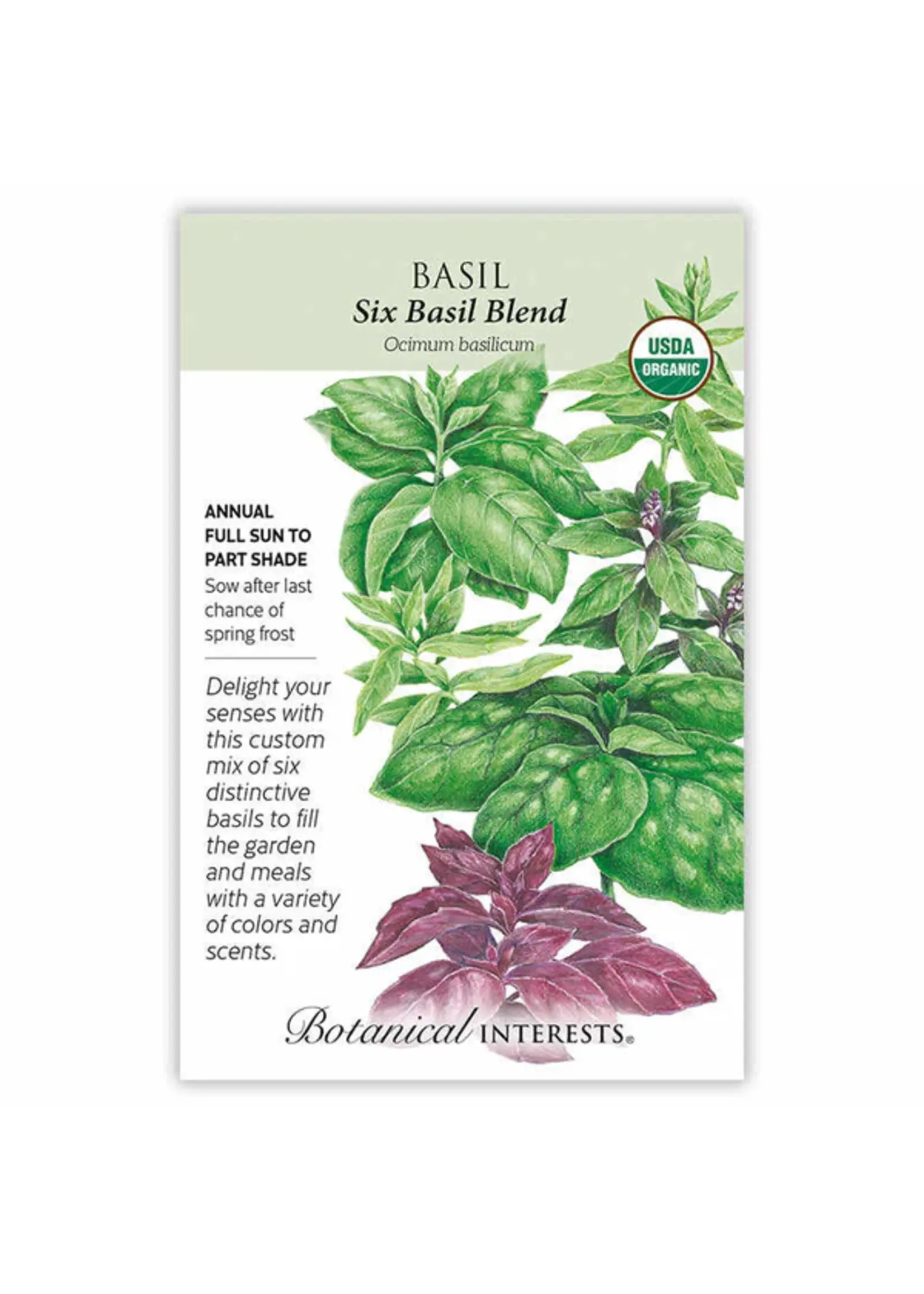 Botanical Interests Basil Six Basil Blend Organic
