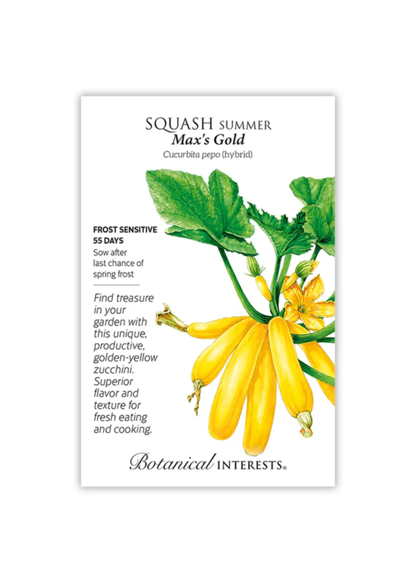 Botanical Interests Squash Summer Max's Gold hybrid