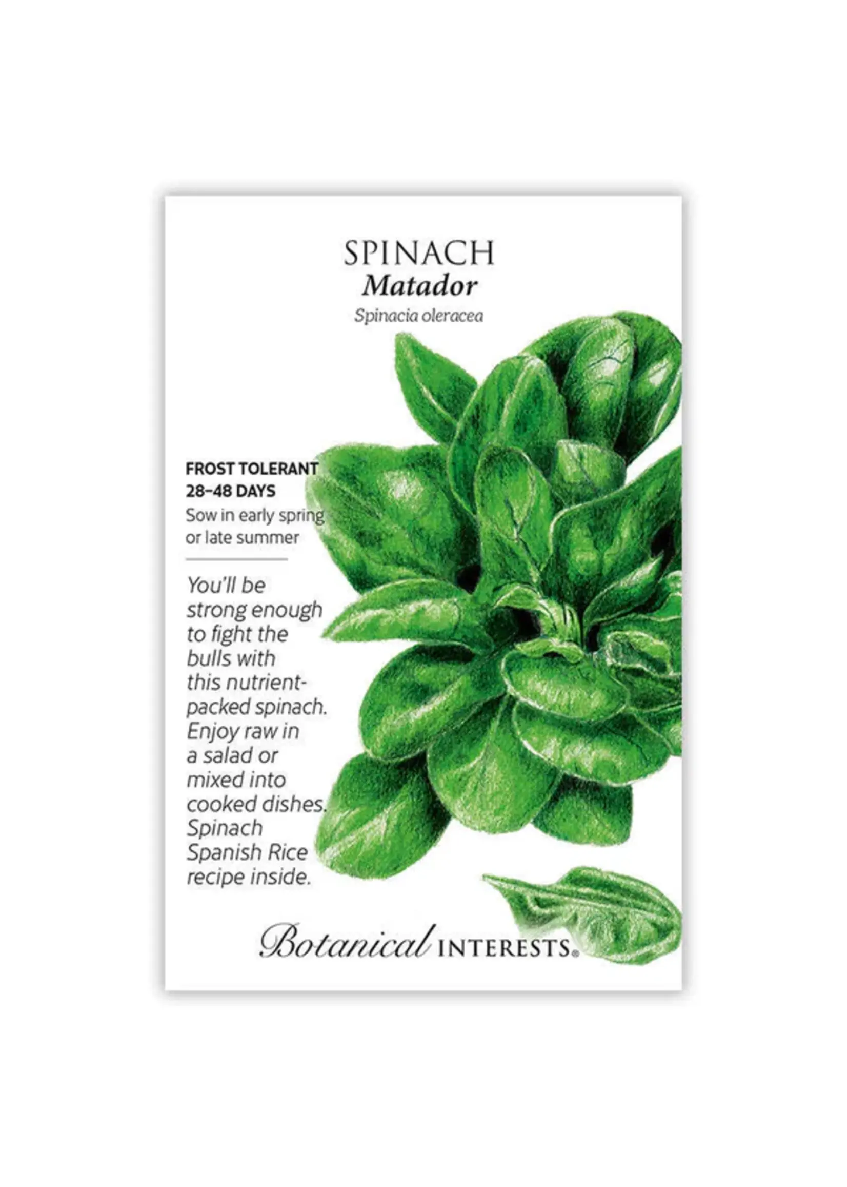 Botanical Interests Spinach Matador