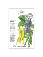 Botanical Interests Bean Bush Trio