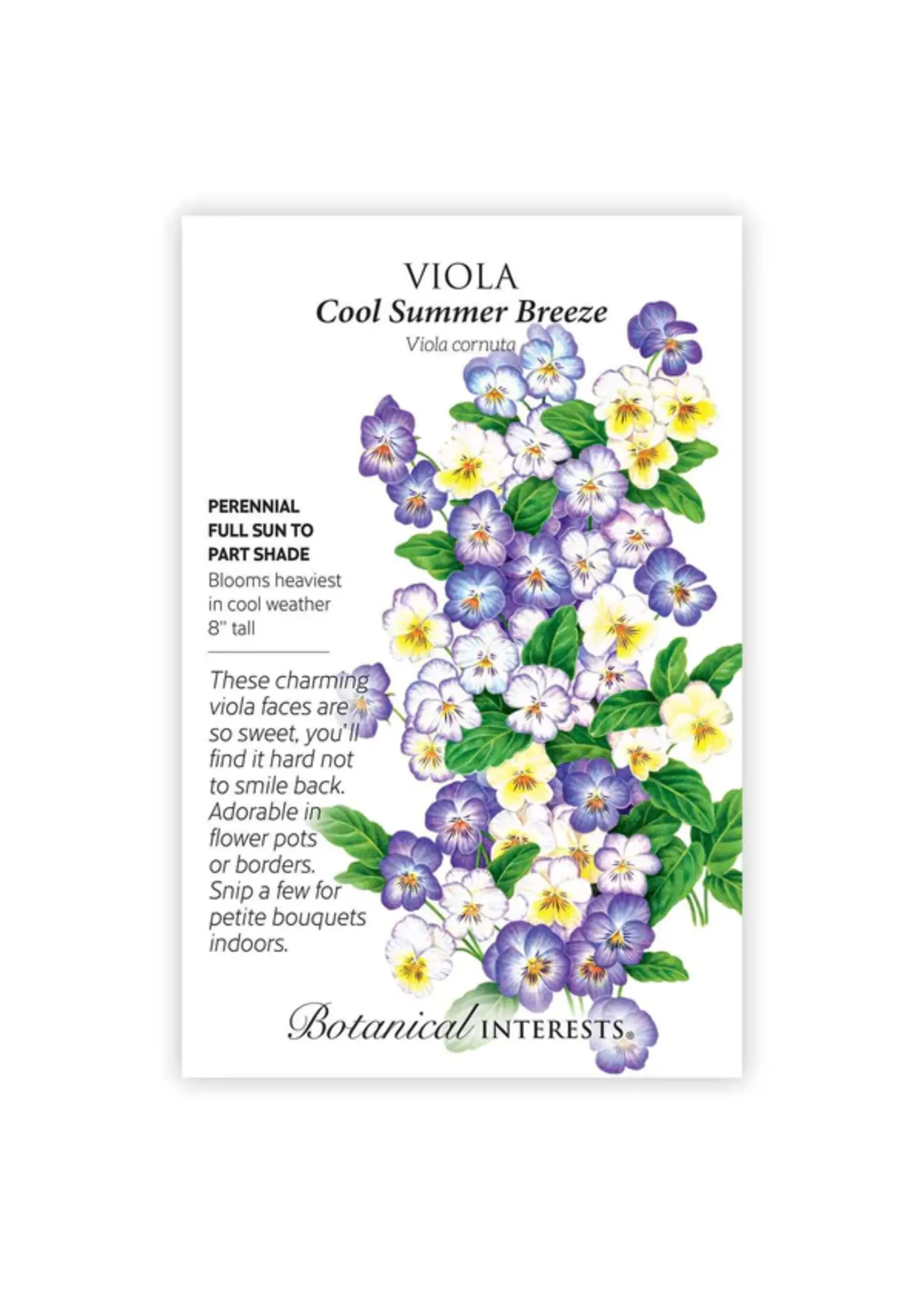 Botanical Interests Viola Cool Summer Breeze