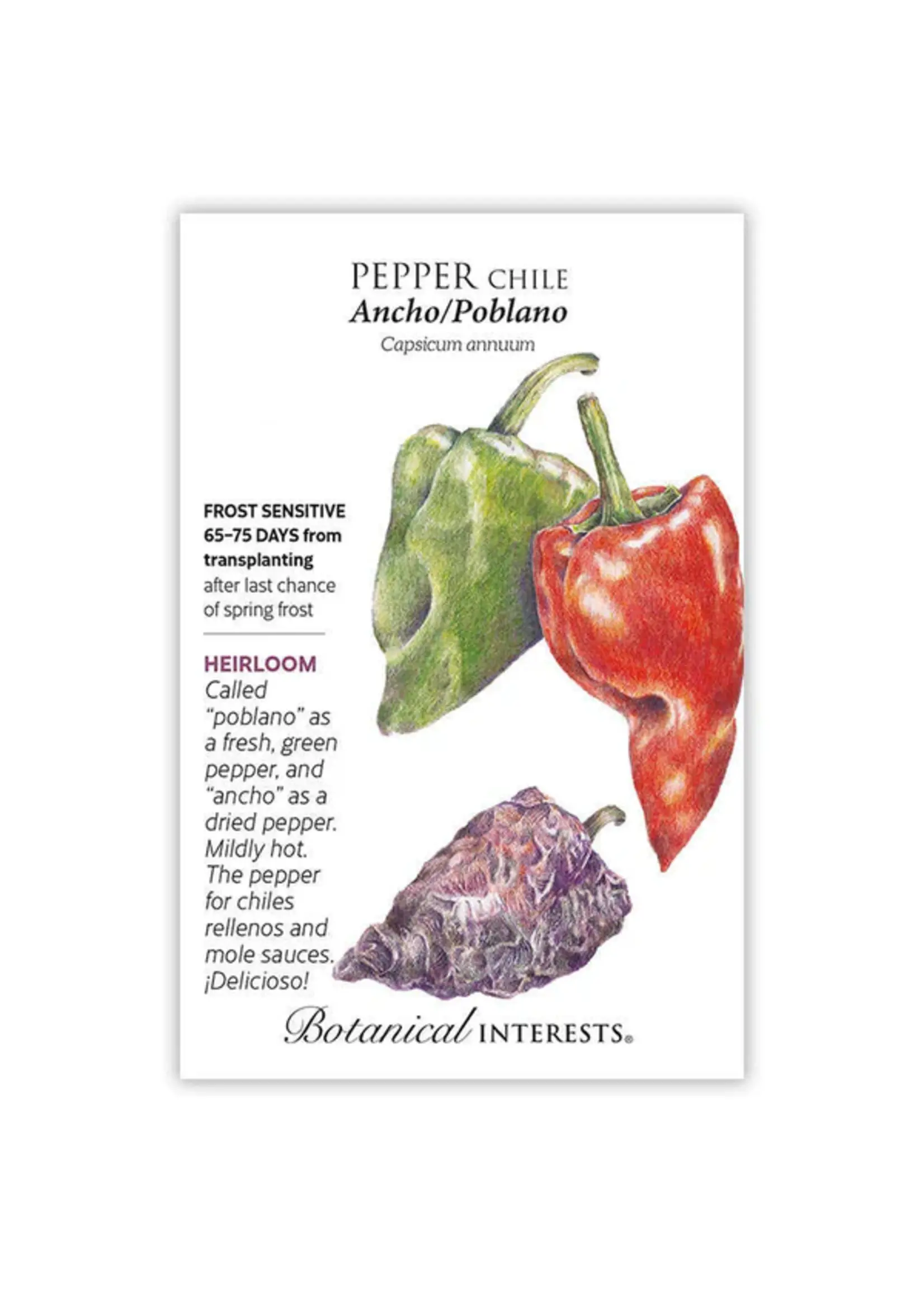Botanical Interests Pepper Chile Ancho / Poblano