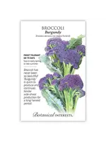 Botanical Interests Broccoli Burgundy