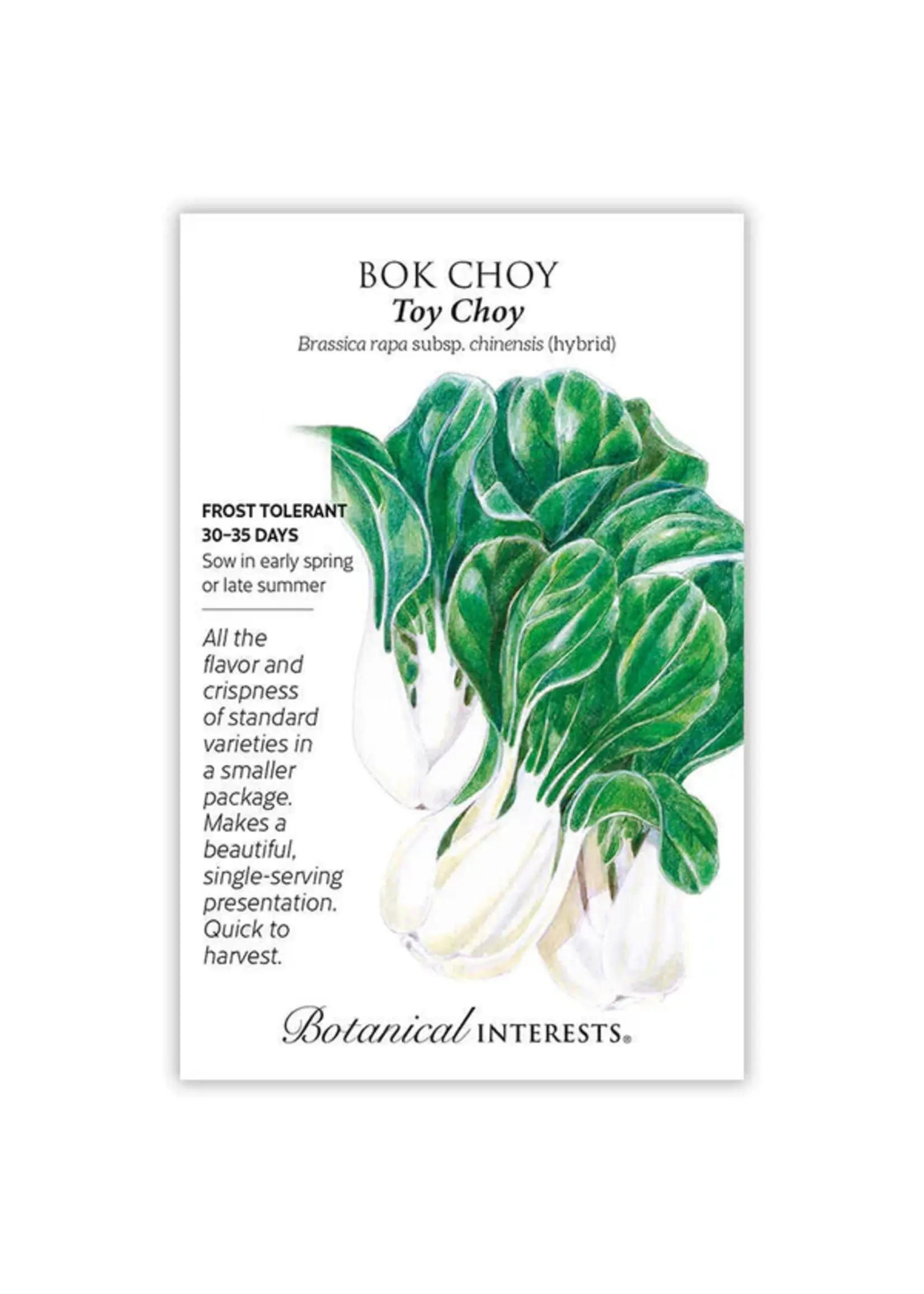 Botanical Interests Bok Choy Toy Choy hybrid