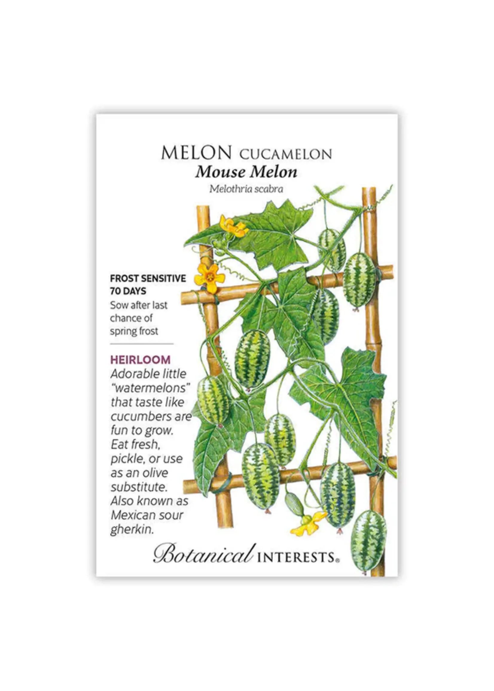 Botanical Interests Melon Cucamelon Mouse Melon