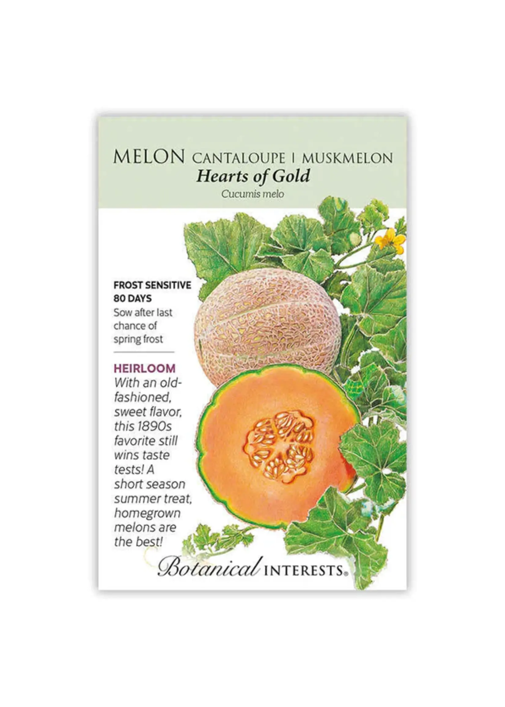 Botanical Interests Melon Hearts of Gold Organic