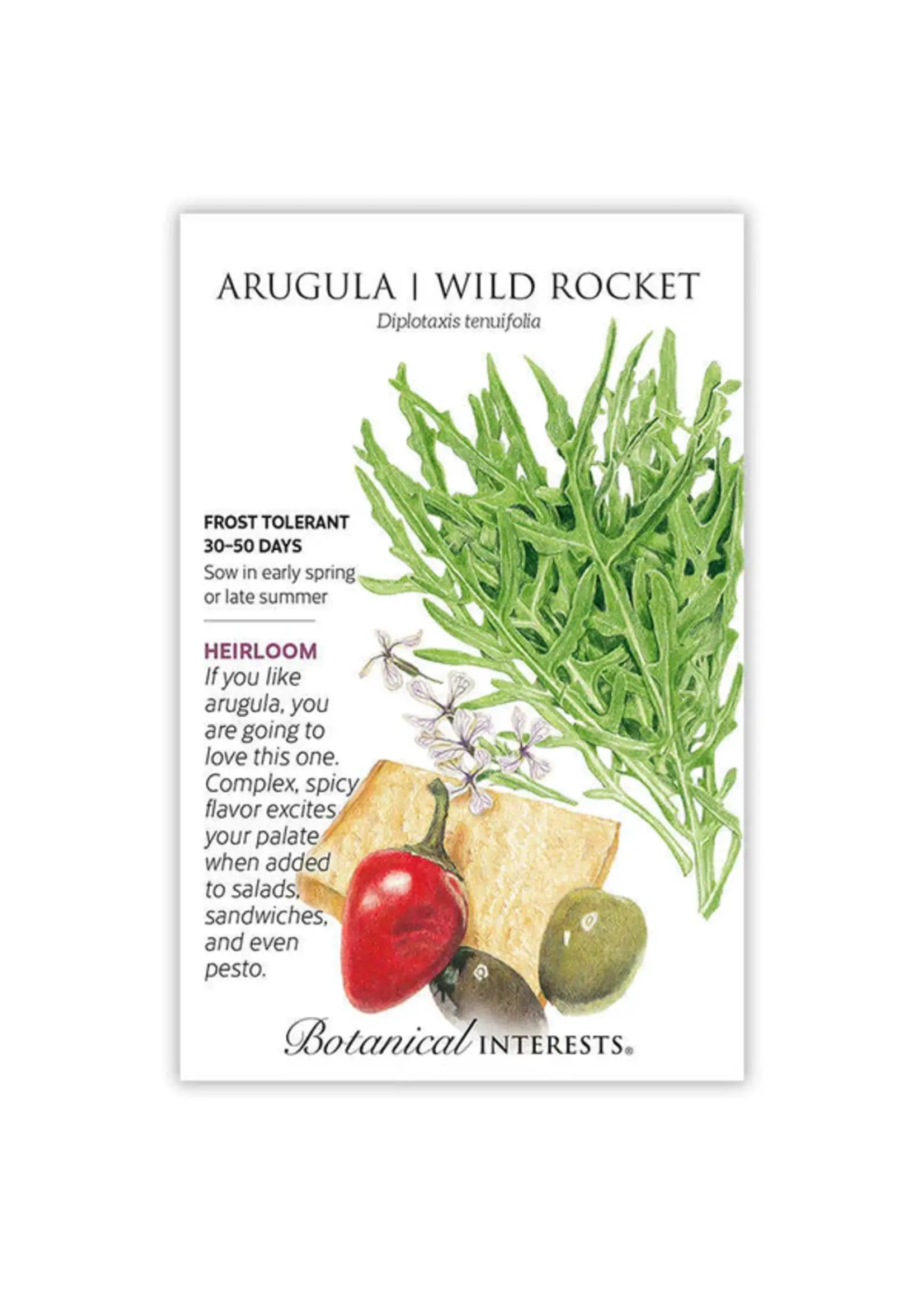 Botanical Interests Arugula Wild Rocket Rocky Organic