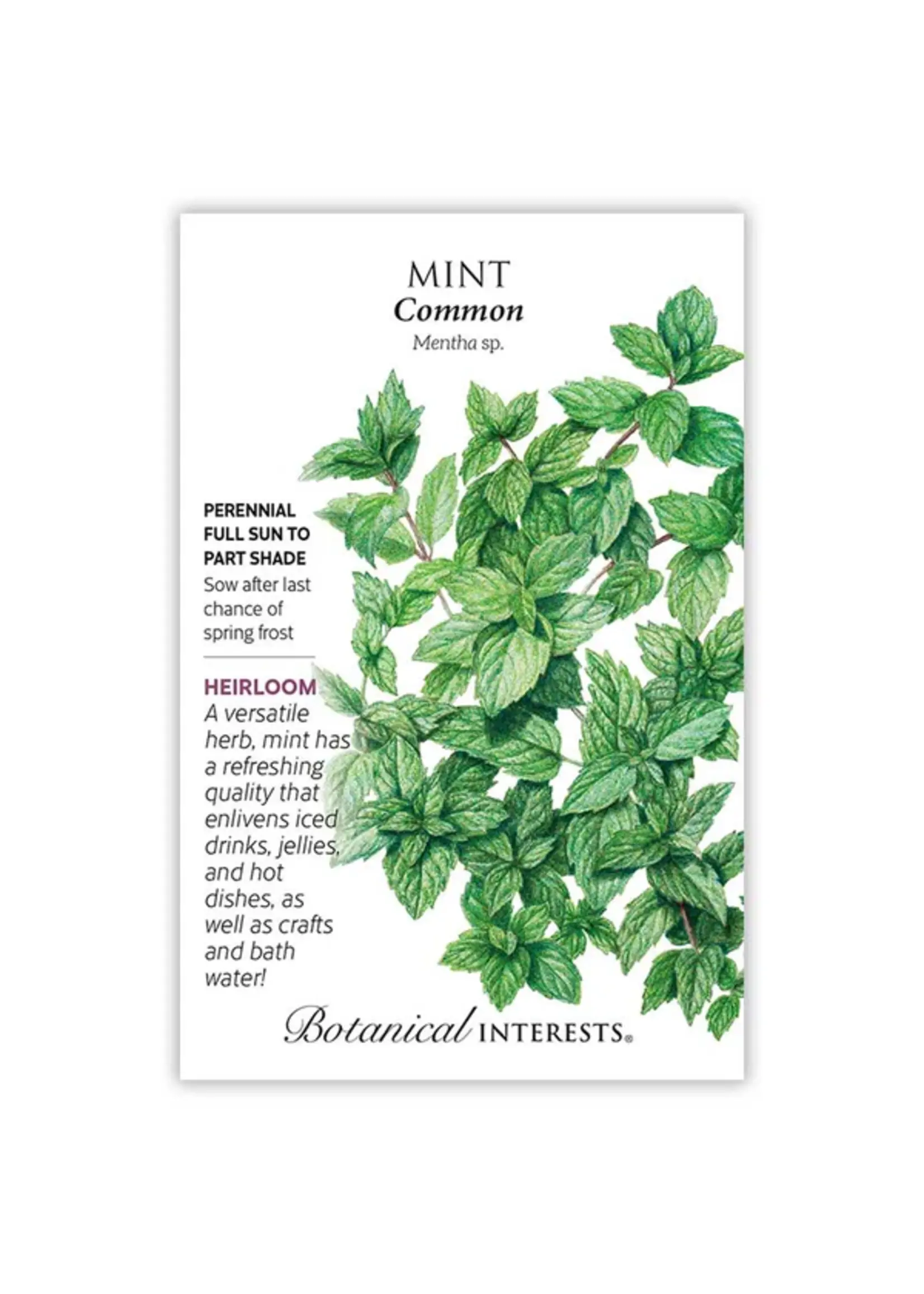 Botanical Interests Mint Common
