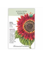 Botanical Interests Sunflower Evening Sun Organic