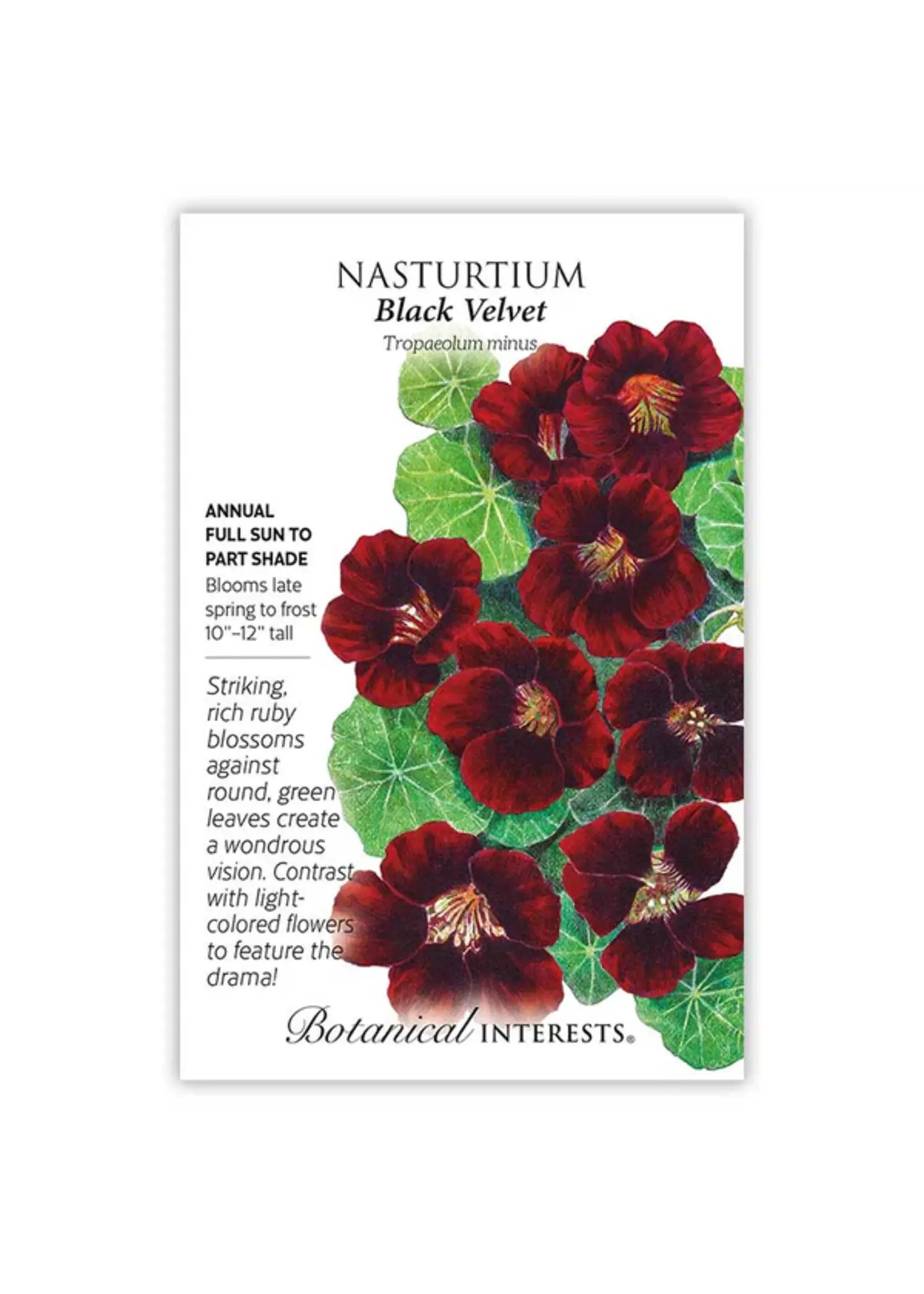 Botanical Interests Nasturtium Black Velvet