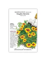 Botanical Interests Marigold French Naughty Marietta