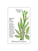 Botanical Interests Bean Fava Windsor