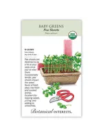 Botanical Interests Baby Greens Pea Shoots Organic Seeds