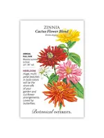 Botanical Interests Zinnia Cactus Flower Blend