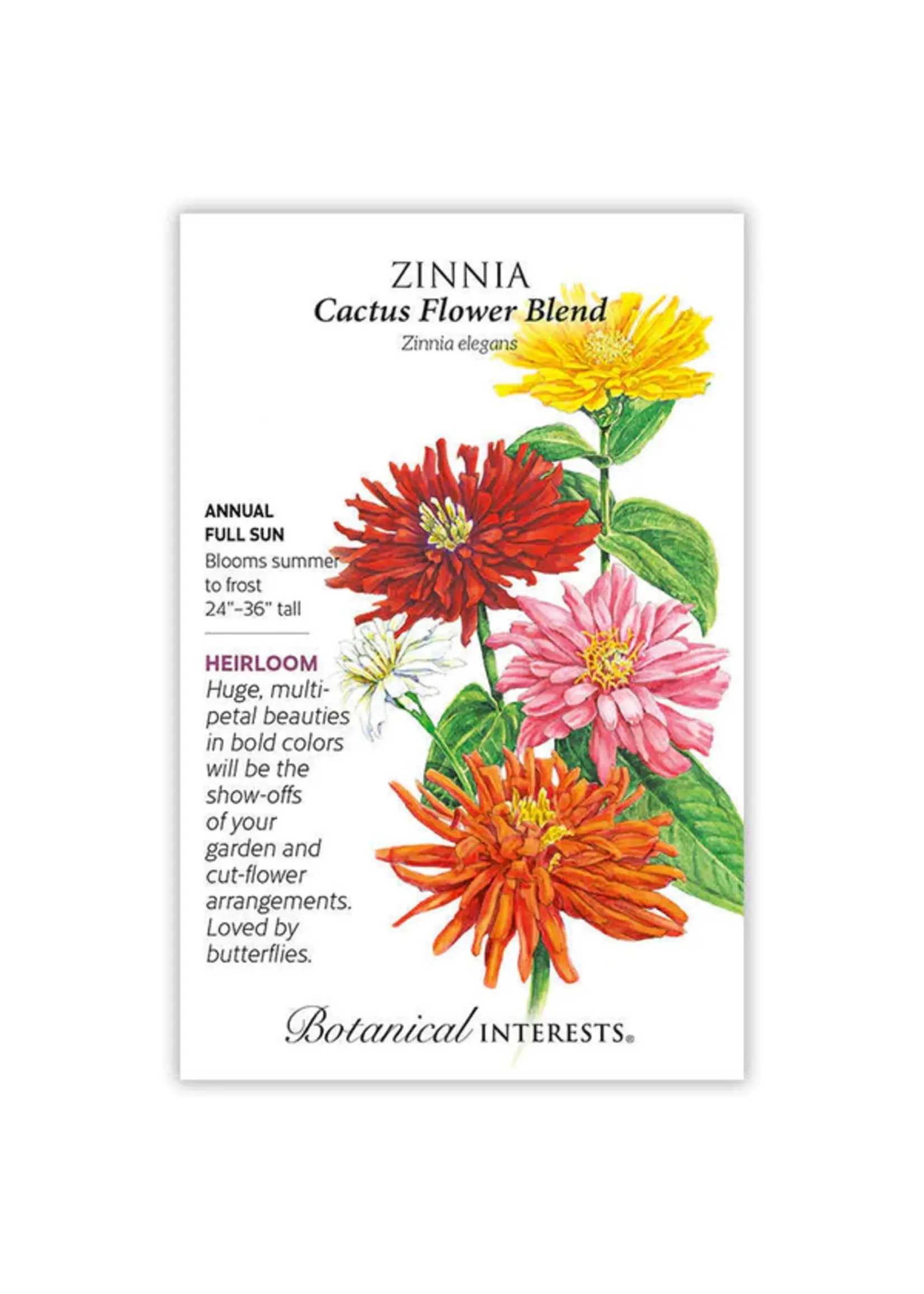 Botanical Interests Zinnia Cactus Flower Blend