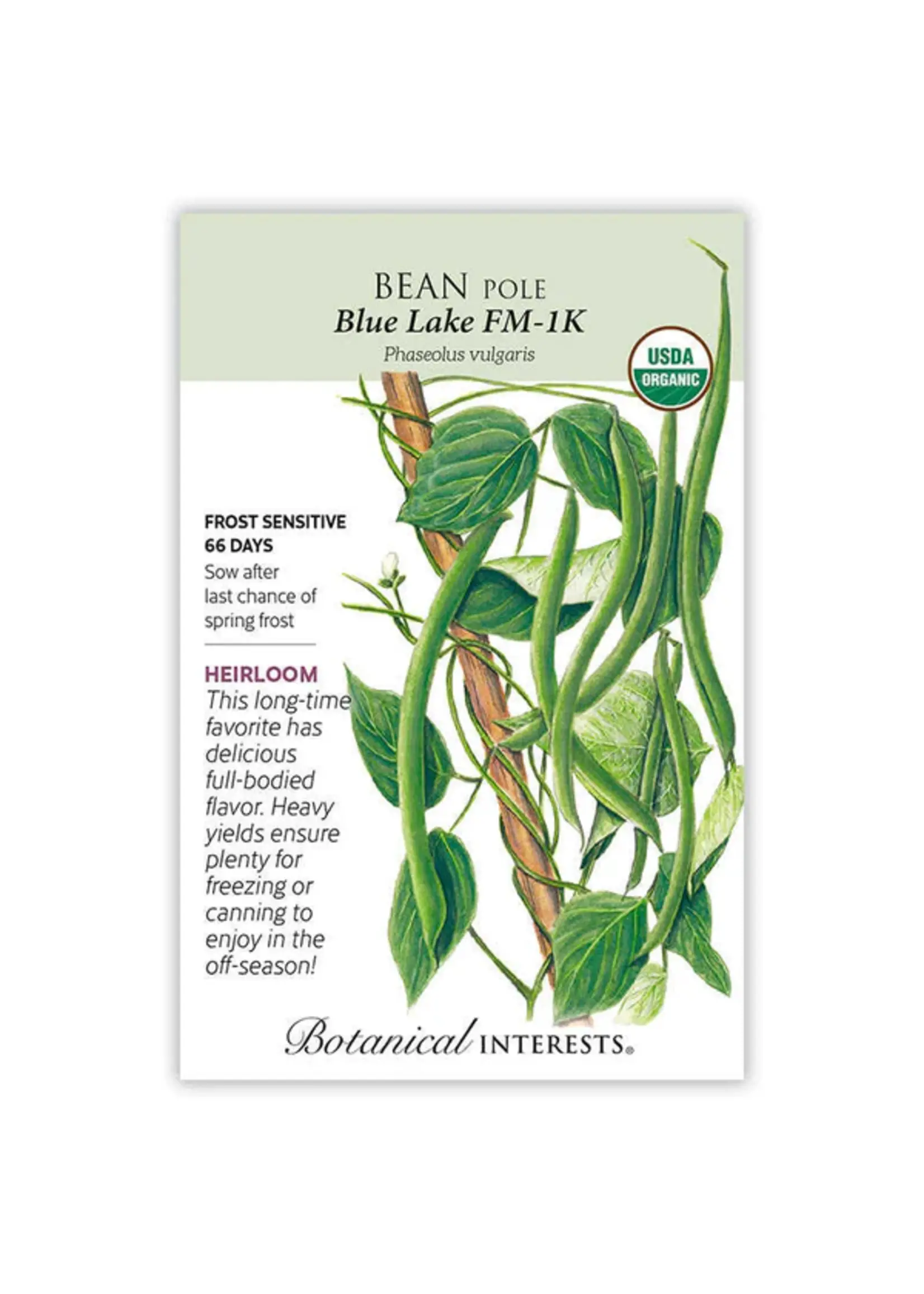Botanical Interests Bean Pole Blue Lake FM-1K Organic
