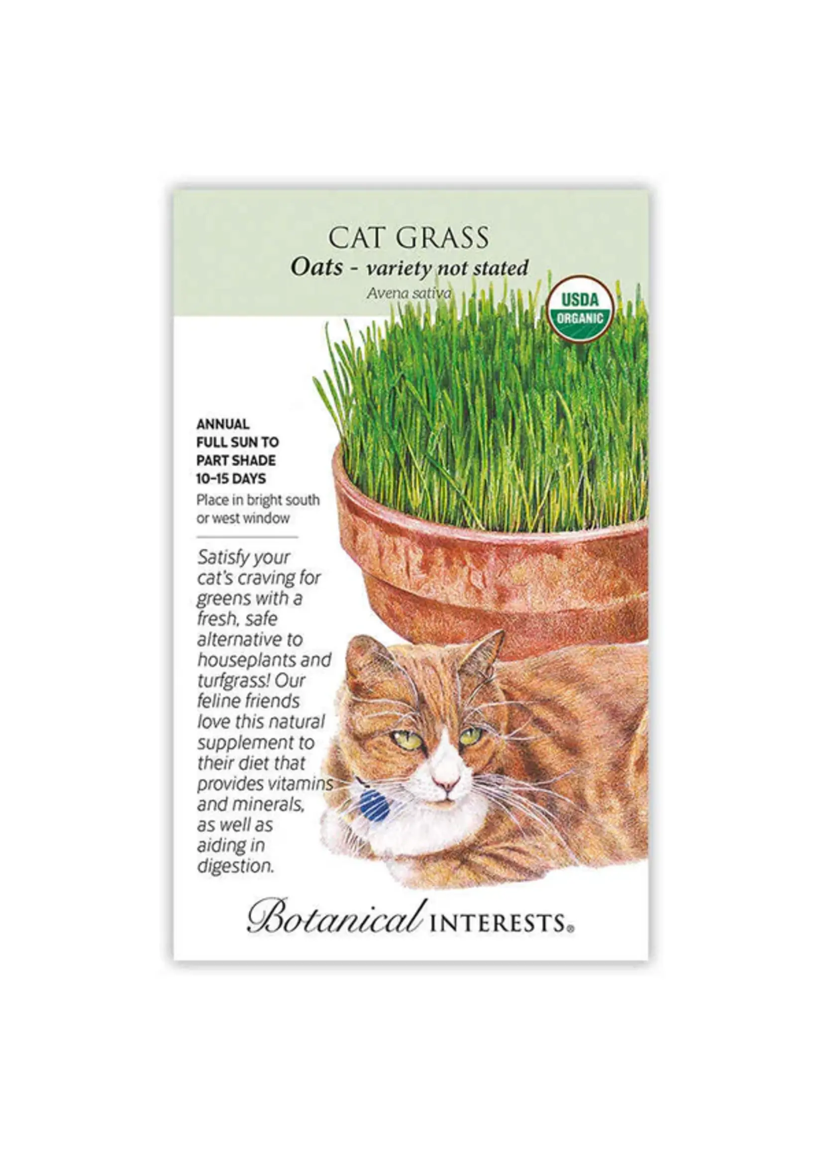 Botanical Interests Cat Grass Organic 15g