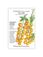 Botanical Interests Tomato Cherry Sun Gold hybrid
