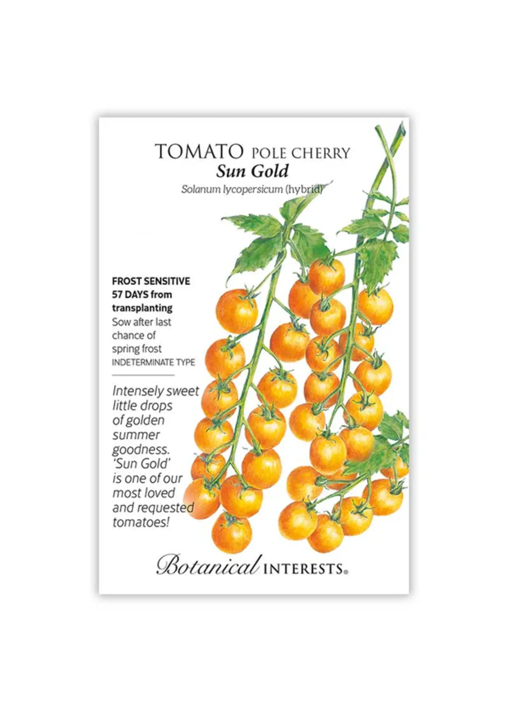 Botanical Interests Tomato Cherry Sun Gold hybrid