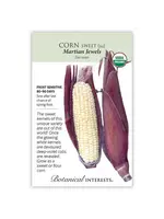 Botanical Interests Corn Sweet (white) Martian Jewels Organic