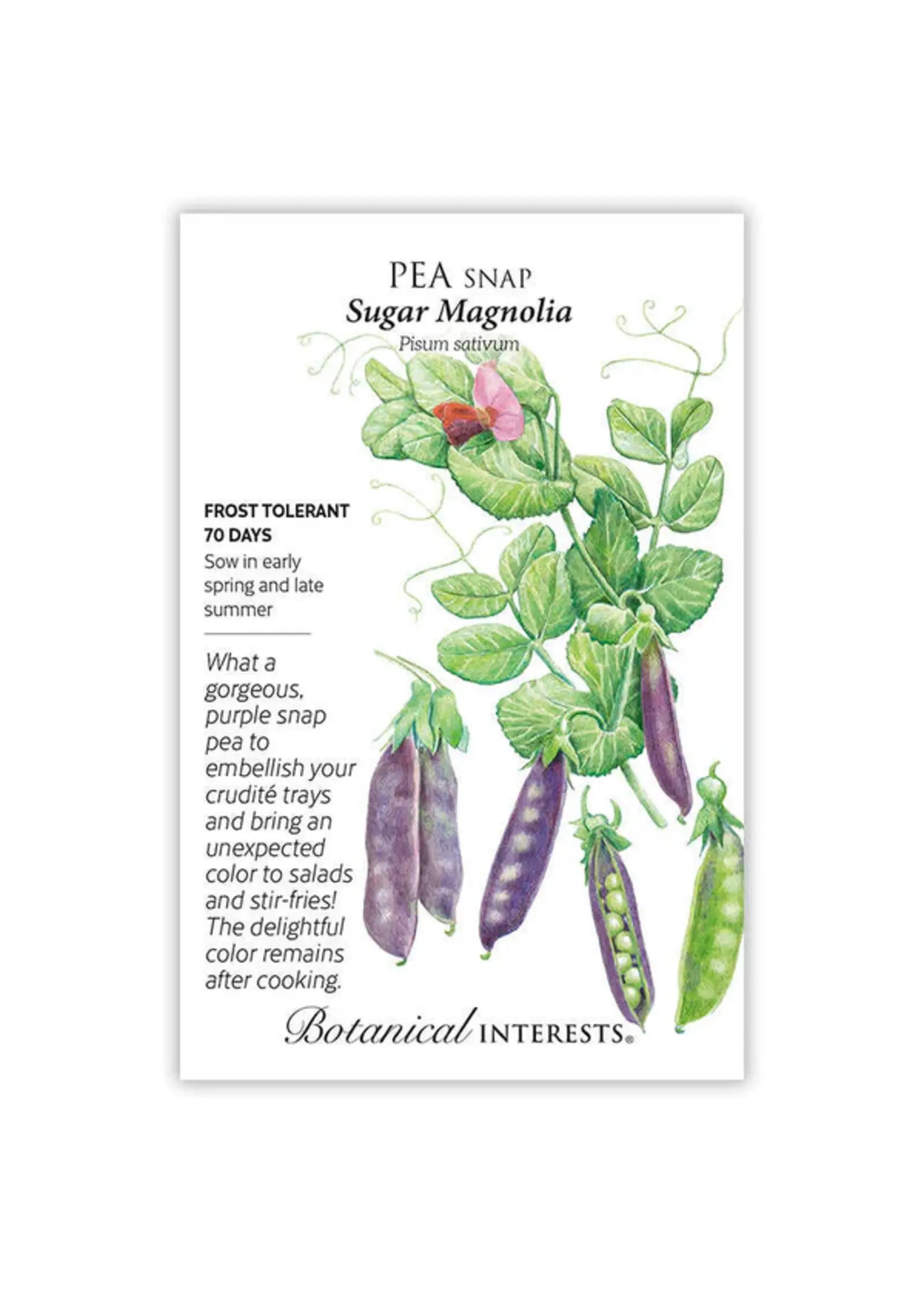 Botanical Interests Pea Snap Sugar Magnolia