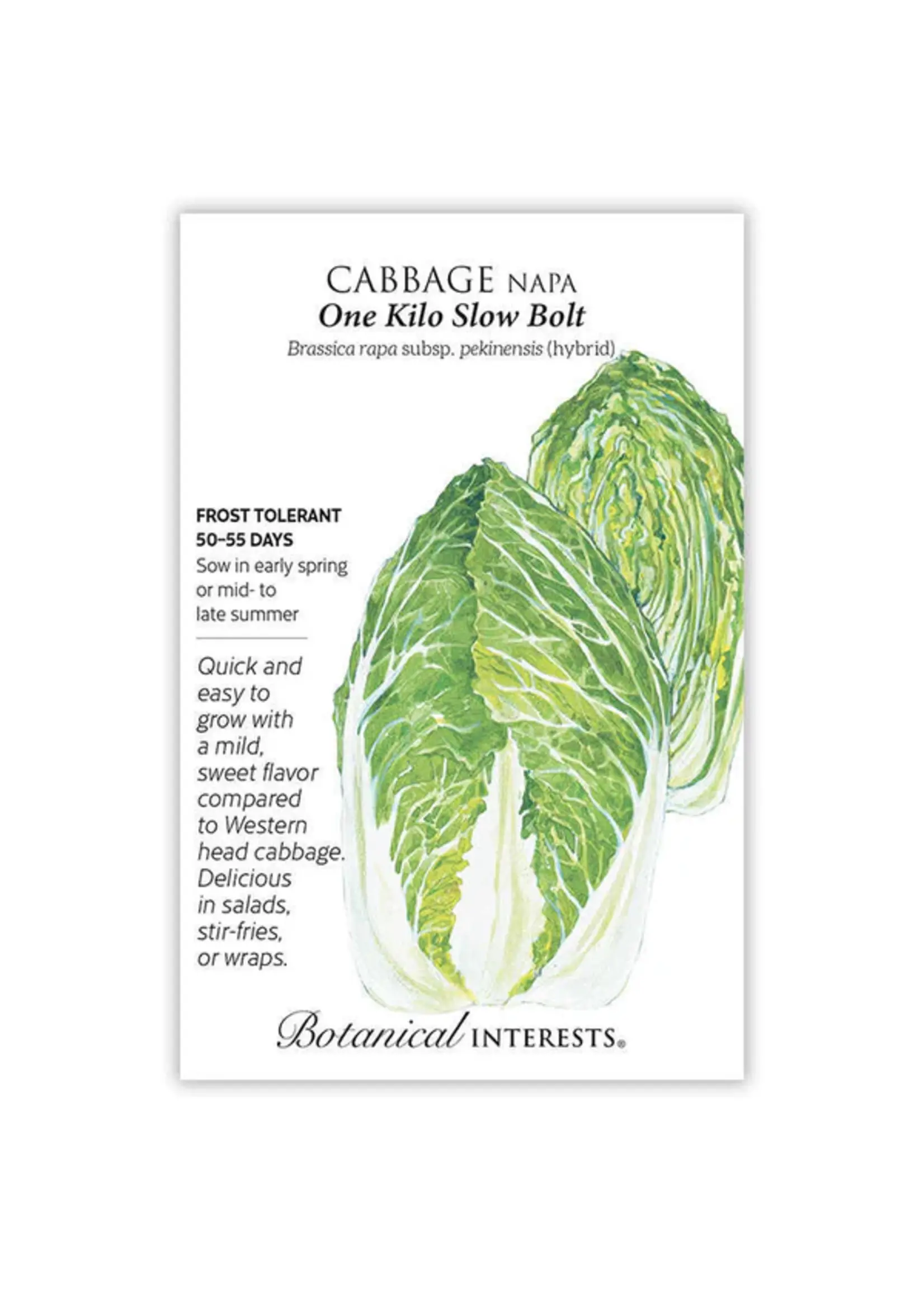 Botanical Interests Cabbage Napa One Kilo hybrid