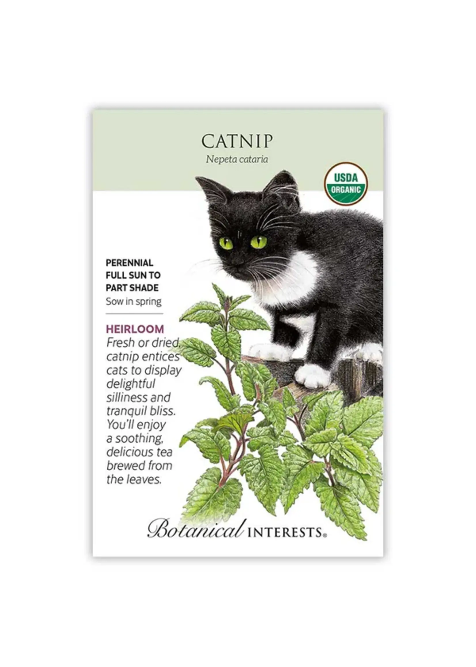 Botanical Interests Catnip Organic