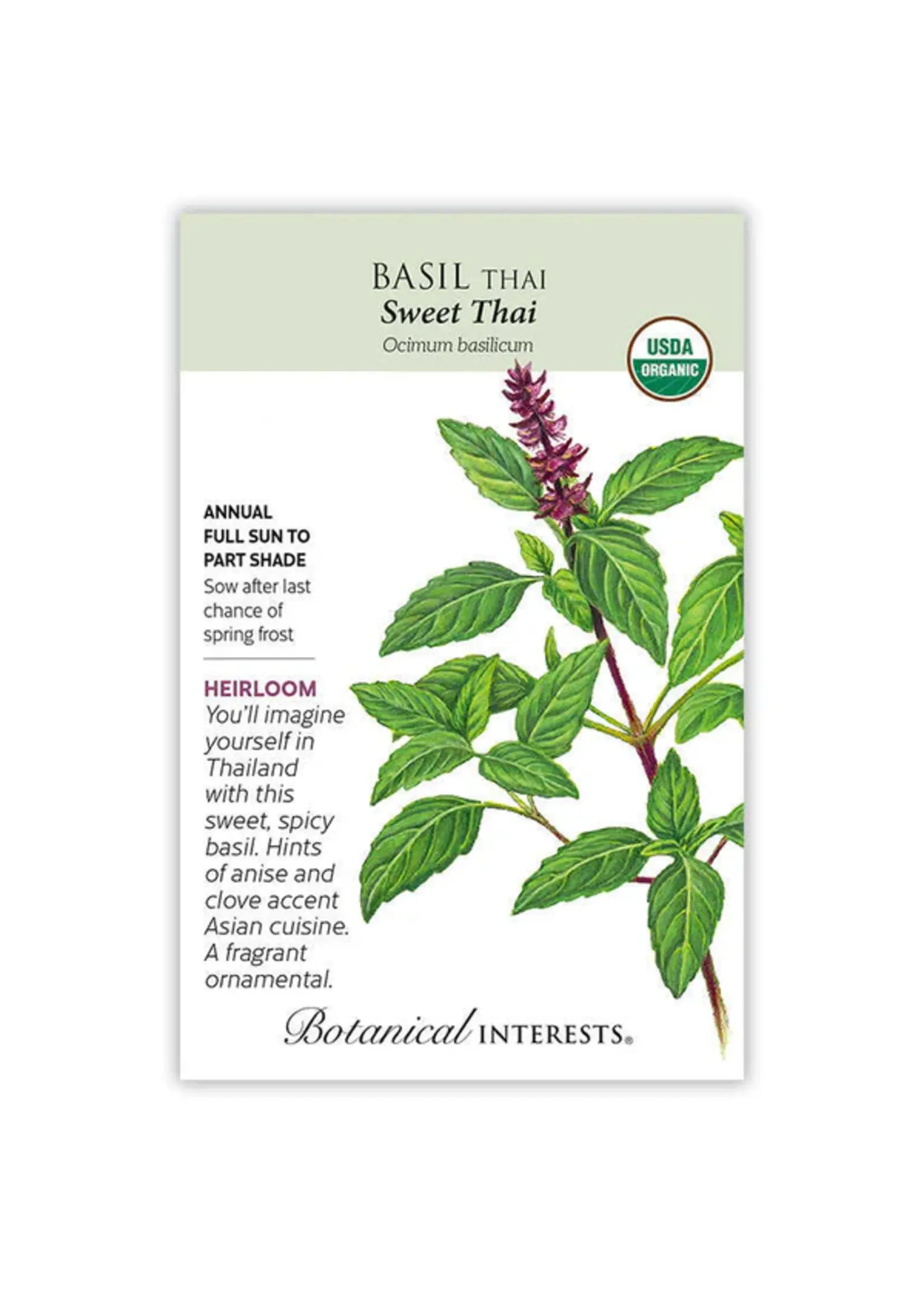 Botanical Interests Basil Thai Sweet Thai Organic