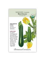 Botanical Interests Squash Summer Black Beauty Organic