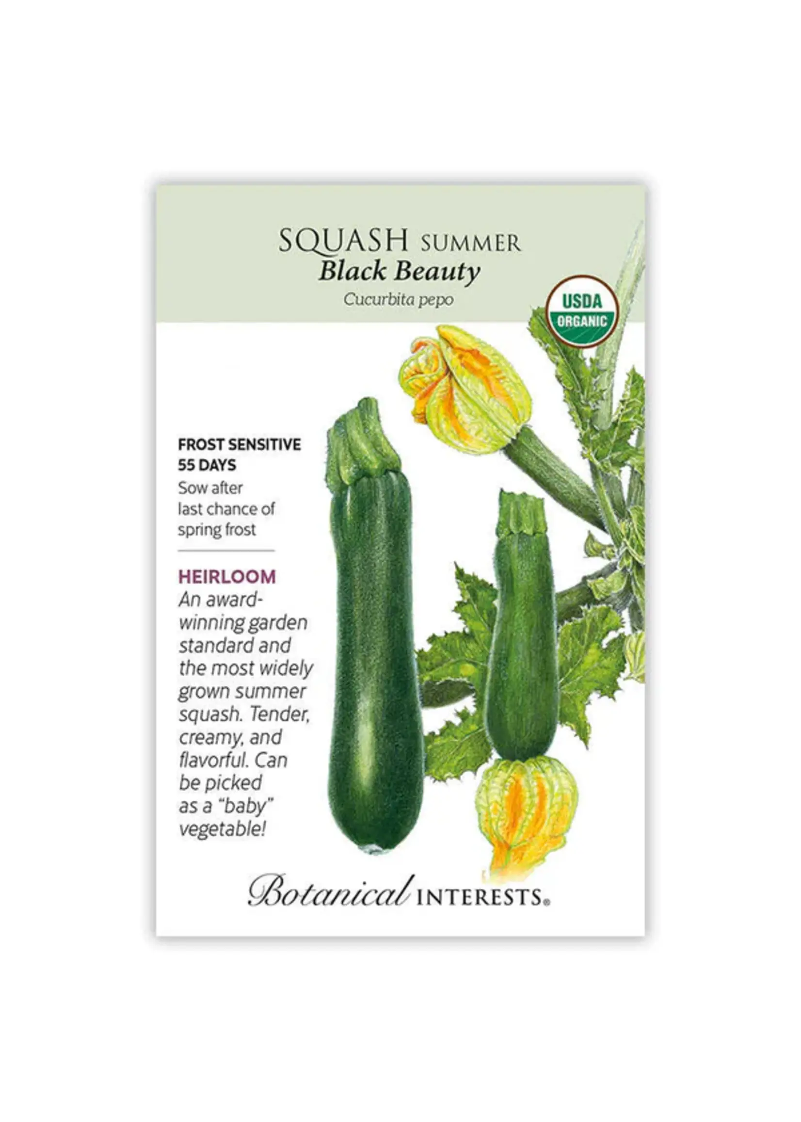 Botanical Interests Squash Summer Black Beauty Organic